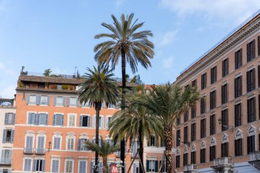 Bir sıra palmiye ağacı bir sıra binanın önünde duruyor. Palmiye ağaçları uzun ve yeşildir ve aynı zamanda uzun ve yeşil binaların önünde dururlar. Huzurlu ve huzurlu bir sahne.