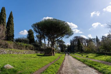 Bir patika, ortasında büyük bir ağaç olan yemyeşil bir tarladan geçiyor. Gökyüzü açık ve mavi, ve yol boyunca yürüyen birkaç insan var. Huzurlu ve huzurlu bir sahne.