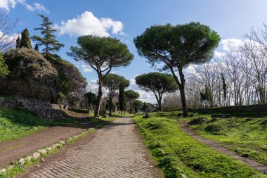 Her iki tarafında ağaçlar ve çimenlerde bir bank olan bir patika. Yol kaldırım taşlarından yapılmış ve ağaçlar yeşil.
