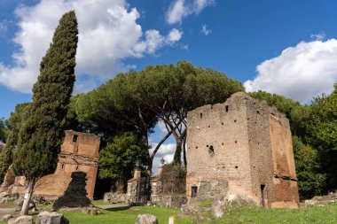 Taş bir duvarı olan bir binanın önünde büyük bir ağaç duruyor. Gökyüzü mavi ve bulutlu.