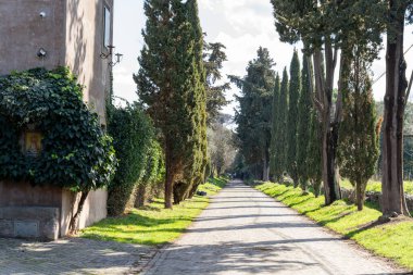İki tarafında ağaçlar ve arka planda bir ev olan bir yol.