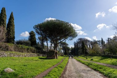 Bir patika, ortasında büyük bir ağaç olan yemyeşil bir tarladan geçiyor. Gökyüzü açık ve mavi, ve yol boyunca yürüyen birkaç insan var. Huzurlu ve huzurlu bir sahne.