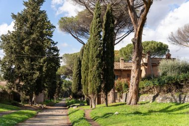 Kenarlarında ağaçlar olan yemyeşil bir tarladan geçen bir patika. Ağaçlar uzun ve yapraklı, huzurlu ve huzurlu bir atmosfer yaratıyorlar. Arka plandaki ev çok güzel bir ev.