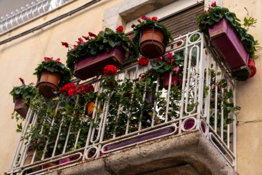 Beyaz korkuluklu bir balkon ve bir sürü saksı bitkisi. Bitkiler farklı renk ve boyutlarda, ve bir denge ve uyum hissi yaratacak şekilde düzenlenmişler.