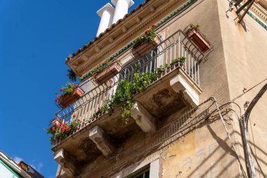 Saksı bitkileri ve çiçeklerle dolu bir balkon. Balkon beyaz çatılı bir binada.