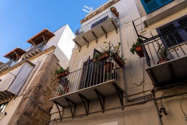 Arka planda mavi gökyüzü ve saksı bitkileriyle dolu bir balkon. Balkon bir binanın ikinci katında.