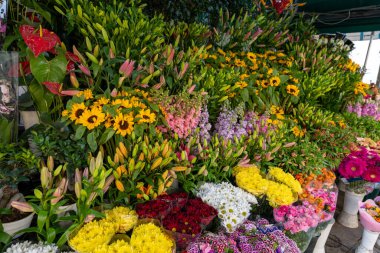 Mağaza vitrininde renkli bir çiçek gösterisi. Çiçekler çeşitli renk ve boyutlarda düzenlenerek canlı ve canlı bir atmosfer yaratılır.