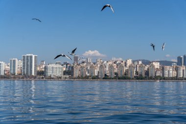 Bir grup kuş şehrin silueti üzerinde uçuyor. Kuşlar farklı yönlere ve yüksekliklere uçarak hareket ve enerji hissi yaratıyorlar. Aşağıdaki şehir yüksek binalarla dolu.