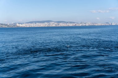 Okyanus sakin ve gökyüzü açık. Şehir arka planda. Su mavi ve gökyüzü mavi.