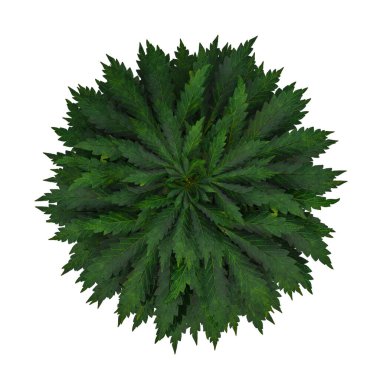 Beyaz ördek oyuncağı, arka plan oyuncağı yok..