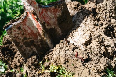 Bir kürek toprağı kazıyor ve yerde küçük bir böcek var. Kürek toprağı kazarken sahne biraz kasvetli.