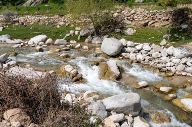 Kayalık bir kıyısı ve arka planda bir ağacı olan bir nehir. Su akıyor ve kayalar nehir kıyısına dağılıyor.