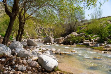 Kayalık bir kıyı şeridi ve arkasında ağaçlar olan bir nehir. Su sakin ve berrak.