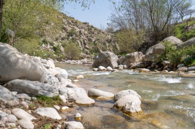 Arkasında kayalar ve ağaçlar olan bir nehir. Su berrak ve sakin. Huzurlu ve huzurlu bir sahne.