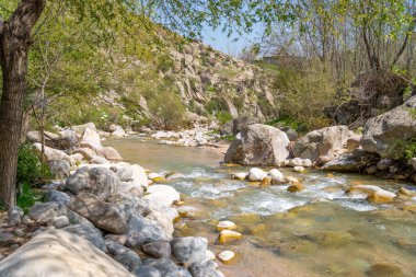 Kayalık bir kıyısı ve arka planda bir ağacı olan bir nehir. Su temiz ve kayalar nehir kıyısına dağılmış.