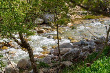 Arka planda ağaçlar olan kayalık bir alandan bir su akıntısı akar. Su temiz ve kayalar tüm bölgeye dağılmış durumda. Huzurlu ve huzurlu bir sahne.