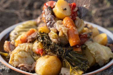 Bir tabak dolusu sebze ve et. Yemekler lezzetli ve sağlıklı görünüyor.