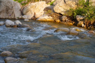 Kayaların arasından bir su akıntısı akar. Su berrak ve sakin, birkaç kaya derenin her tarafına saçılmış. Sahne huzurlu ve sakin, su etrafındaki kayaları yansıtıyor.