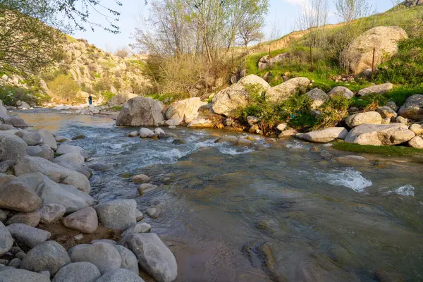 Kayalık bir kıyısı ve üzerinde yürüyen bir insan olan bir nehir. Su berrak ve sakin.