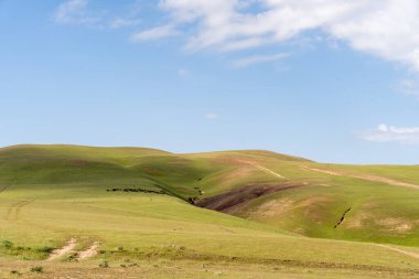 Açık mavi gökyüzü olan çimenli bir yamaç. Gökyüzü bulutlarla kaplı ve çimenler yemyeşil.