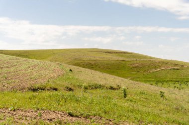 Çimenli bir tarlası ve birkaç ağacı olan bir yamaç. Gökyüzü mavi ve bazı bulutlar var.