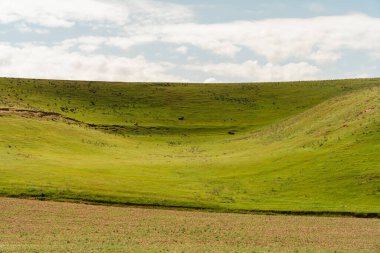 Birkaç ağacın etrafa saçıldığı geniş, çimenli bir yamaç. Gökyüzü çoğunlukla açık ve birkaç bulut görünüyor. Sahne, uçsuz bucaksız yeşil çimlerle huzurlu ve huzurlu.