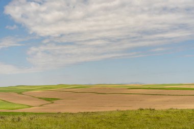 Arka planda bulutlu bir gökyüzü olan bir çimen tarlası. Gökyüzü çoğunlukla mavi ve bazı bulutlar etrafa saçılmış. Alan çoğunlukla yeşildir ve bazı kahverengi yamalar onu biraz kuru yapar.
