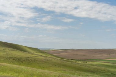 Açık mavi gökyüzü olan geniş, açık bir alan. Gökyüzü bulutlarla kaplı ve çimenler yemyeşil. Sahne huzurlu ve sakin, insan aktivitesi belirtisi yok.