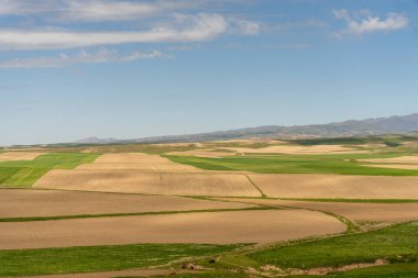 Arka planda mavi gökyüzü olan geniş, açık bir alan. Gökyüzü açık ve güneş parlıyor.