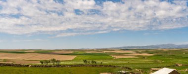 Büyük bir tarla, birkaç ağaç ve uzakta bir ev. Gökyüzü çoğunlukla açık ve birkaç bulut etrafa saçılmış.