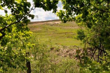 Önünde çitleri olan yemyeşil bir yamaç. Tepe, ağaçlar ve çimlerle kaplı ve çit ahşaptan yapılmıştır. Huzurlu ve huzurlu bir sahne.