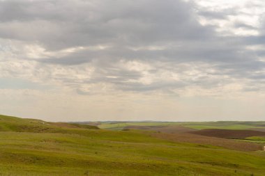 Arkasında bulutlu bir gökyüzü olan geniş, açık bir alan. Gökyüzü çoğunlukla gridir ve bazı beyaz bulutlar etrafa saçılmıştır. Alan yemyeşil ve yemyeşil. İnsan aktivitesi belirtisi yok.