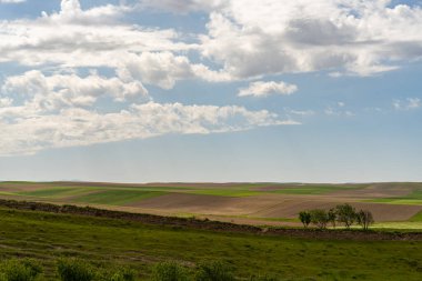 Bir kaç ağacın etrafa saçıldığı geniş, açık bir alan. Gökyüzü çoğunlukla açık ve birkaç bulut görünüyor. Manzara, geniş bir araziyle huzurlu ve huzurlu.