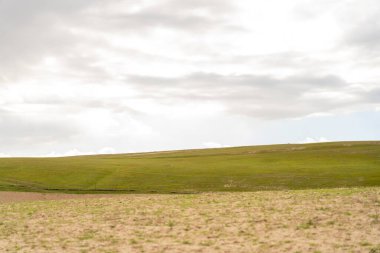 Arka planda bulutlu bir gökyüzü olan bir çimen tarlası. Gökyüzü çoğunlukla beyaz ve bazı bulutlar, ve çimenler yeşil