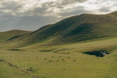 Çimenli bir tarlası ve birkaç ağacı olan büyük bir yamaç. Gökyüzü bulutlu ve güneş parlamıyor.