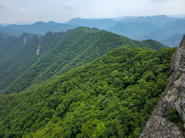 Bereketli yeşil ağaçlarla kaplı bir dağ sırası. Ağaçlar uzundur ve araziye yayılırlar. Gökyüzü açık ve güneş parlıyor. Huzurlu ve huzurlu bir atmosfer yaratıyor.