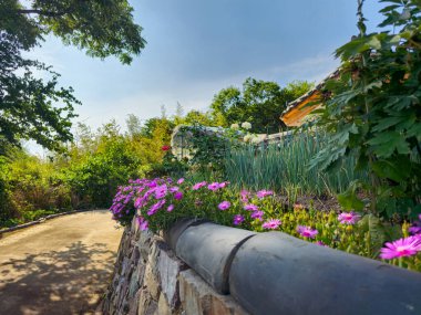Taş duvarı ve yolu olan bir bahçe. Yol mor çiçeklerle kaplı. Bahçe ağaçlar ve çalılarla çevrili.