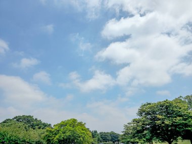 Arka planda birkaç bulut ve ağaç olan açık mavi bir gökyüzü. Gökyüzü sakin ve huzurlu, ağaçlar huzur veriyor.