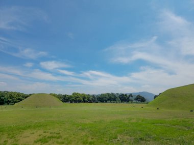 Mavi gökyüzü ve birkaç ağacı olan geniş, açık bir alan. Gökyüzü açık ve güneş parlıyor.