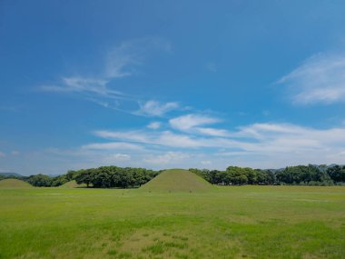 Mavi gökyüzü ve birkaç ağacı olan büyük bir tarla. Gökyüzü çoğunlukla açık ve birkaç bulut etrafa saçılmış durumda. Otlar yemyeşil ve yemyeşil, alana huzurlu ve huzurlu bir atmosfer sağlıyor.