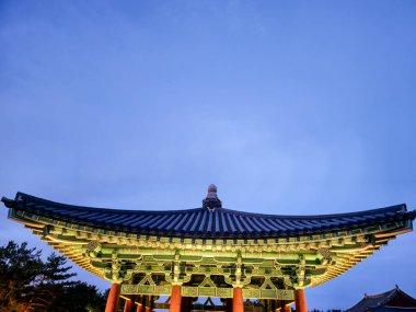 Üzerinde lamba olan büyük yeşil bir çatı.