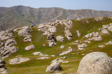 Etrafa dağılmış birkaç küçük kayalık bir yamaç. Çimler yeşil ve gökyüzü berrak