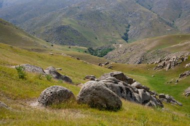 Etrafa dağılmış birkaç küçük kayalık bir yamaç. Manzara huzurlu ve huzurlu.