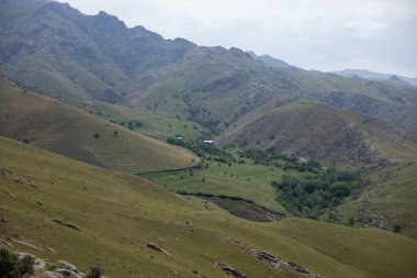 Dağlar yeşil çimlerle ve ağaçlarla kaplıdır. Gökyüzü bulutlu ve güneş görünmüyor.