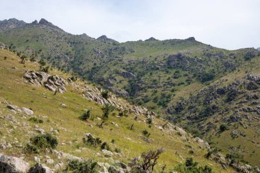 Kayalık bir yamacı ve birkaç ağacı olan bir dağ sırası. Gökyüzü bulutlu ve güneş görünmüyor.