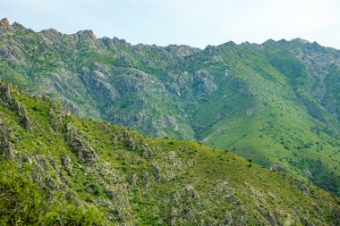 Dağ sırası yemyeşil çimenler ve kayalık araziyle kaplıdır. Gökyüzü açık ve mavidir, ve güneş parlıyor. Huzurlu ve huzurlu bir sahne.