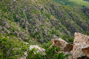 Bereketli yeşil yamacı olan kayalık bir yamaç. Yamaçta kayalar ve çimenler var.