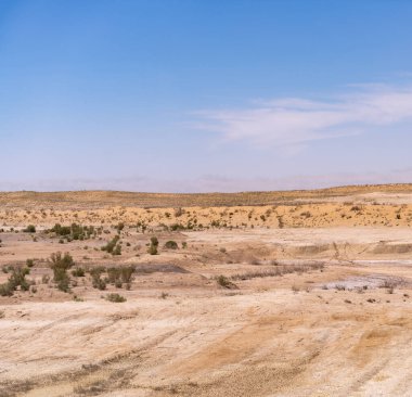 Açık mavi gökyüzü olan bir çöl manzarası. Gökyüzü bulutlarla kaplı ve güneş ışıl ışıl parlıyor. Manzara çorak ve kuru, sadece birkaç ağaç etrafa saçılmış.