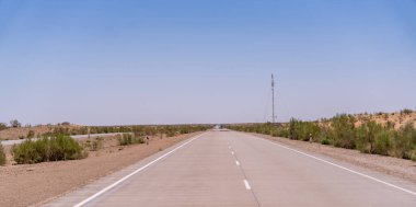 Uzakta birkaç ağacın olduğu uzun, boş bir yol. Gökyüzü açık ve mavi
