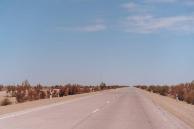 Uzakta birkaç ağacın olduğu uzun, boş bir yol. Gökyüzü açık ve mavi